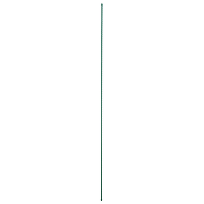 79018864