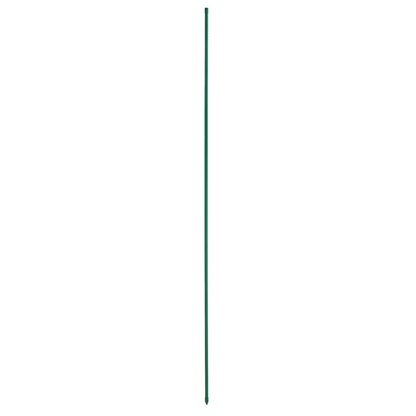 79018804