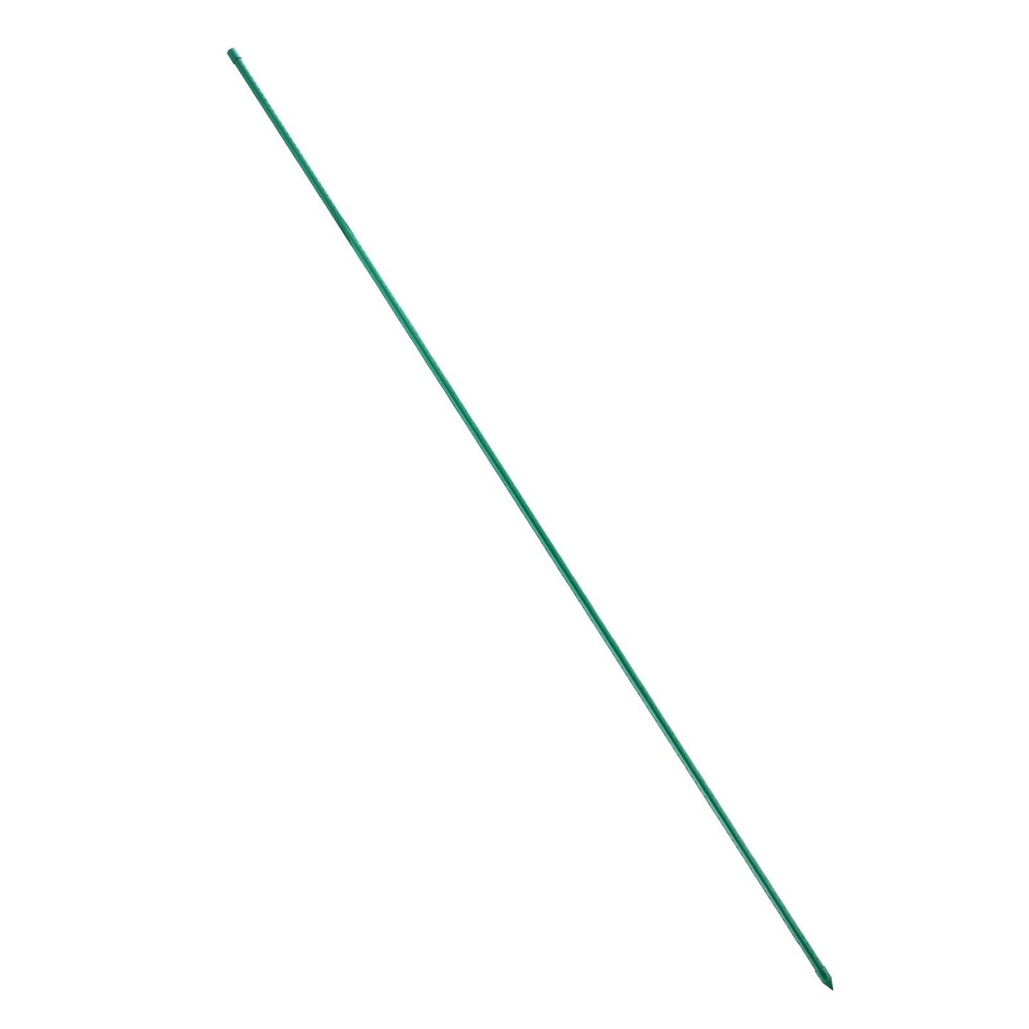 79018805