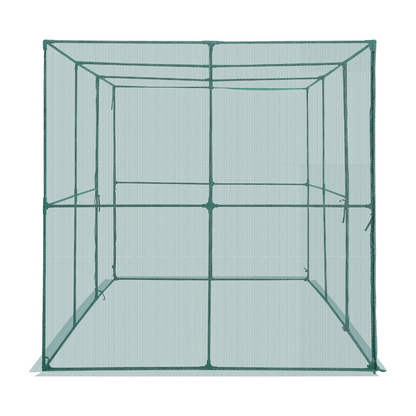 79018707