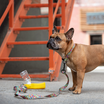 GF PET Water Bottle with Foldout Bowl - Essential Hydration for Pets on Hikes, Travels, & Camping