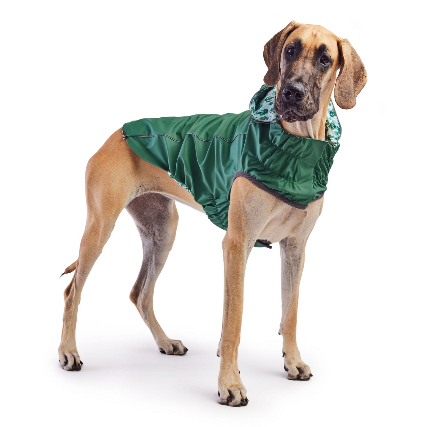 Reversible Elasto-Fit Raincoat - Green/Green | Waterproof and Stylish