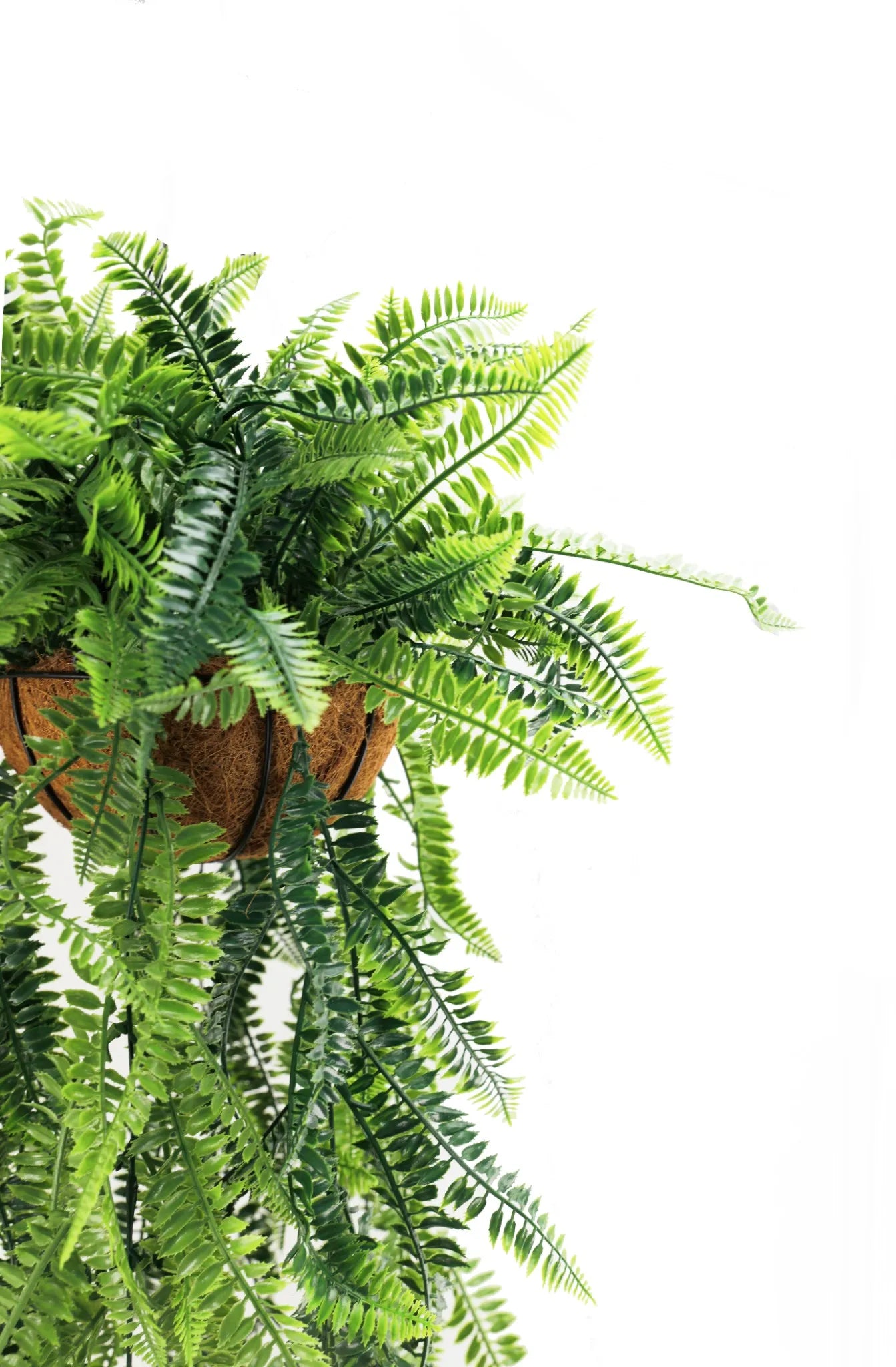 Artificial Hanging Fern Basket – UV Resistant (13.8in x 49.2in | 35cm x 125cm)-2