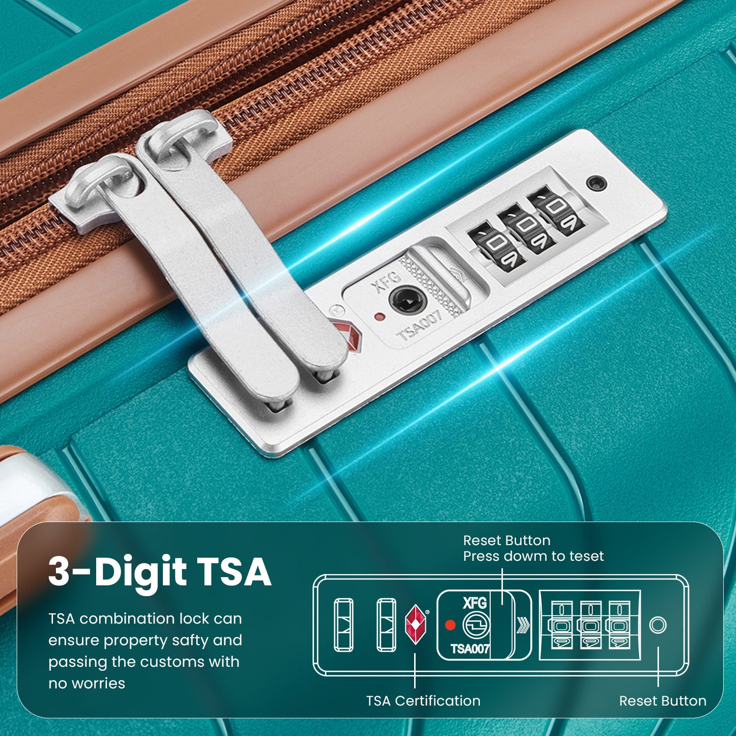 79135729