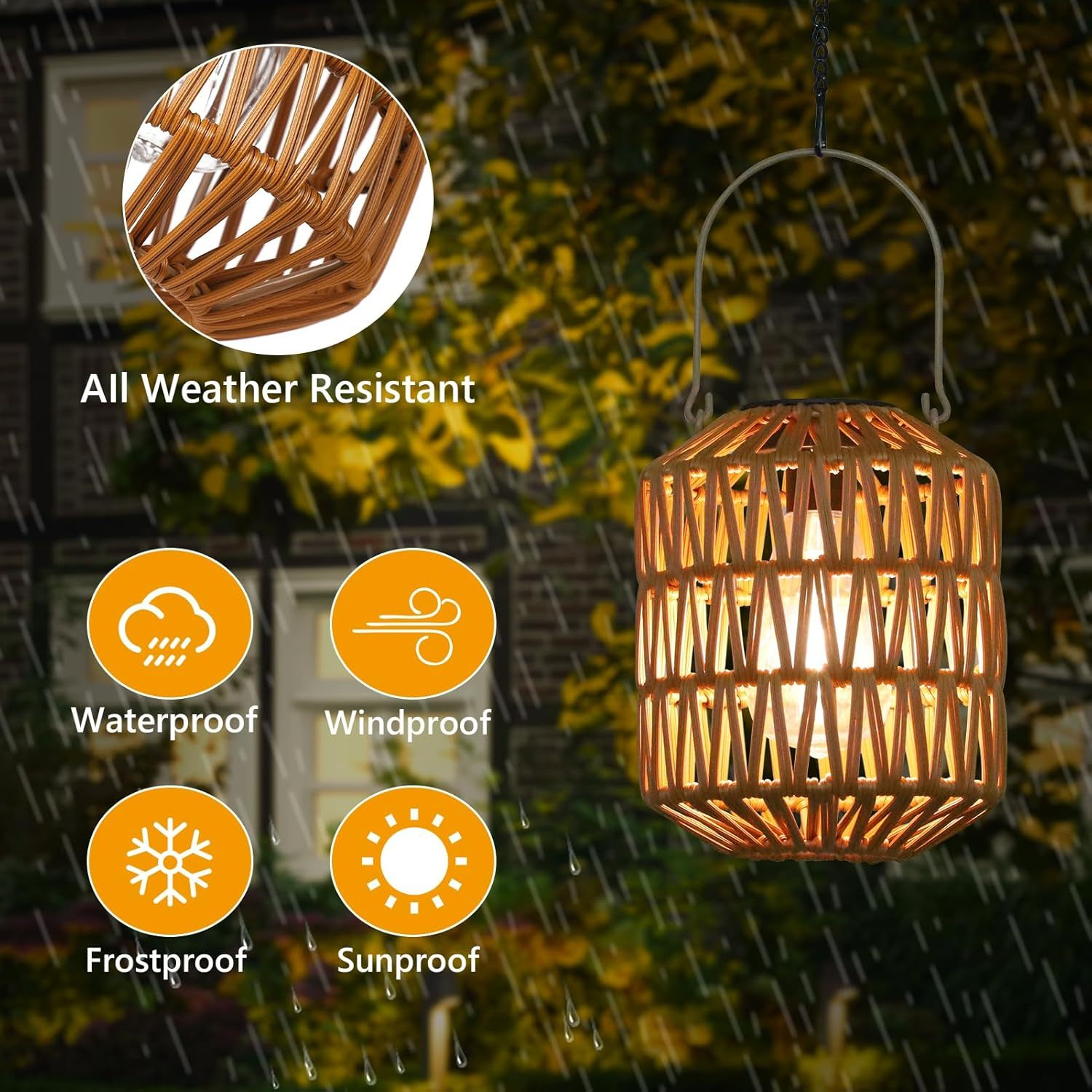 80526998