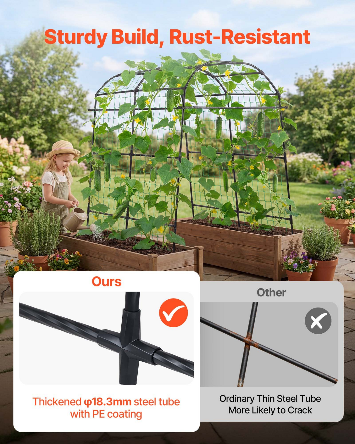 79015849