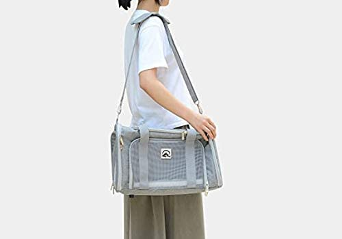 79151419