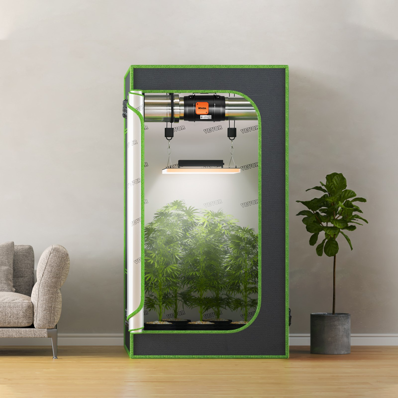 80311061