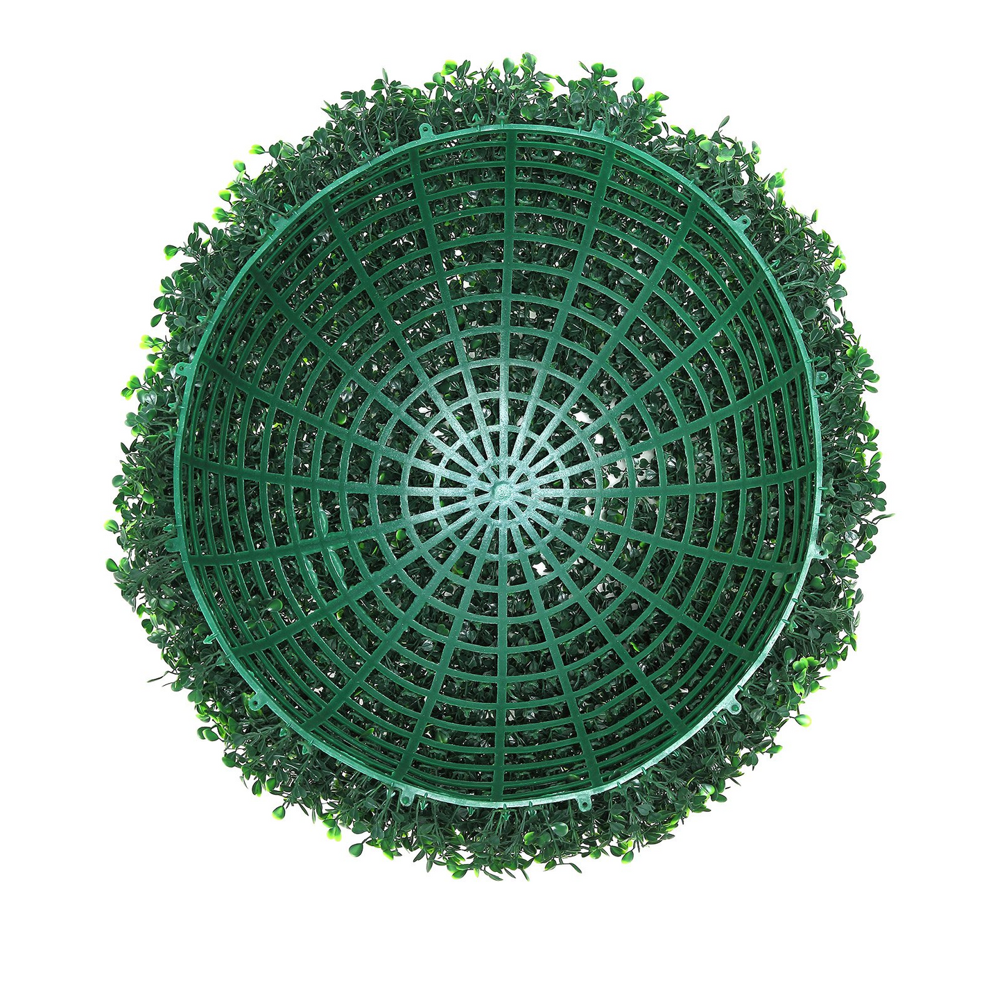 80310627