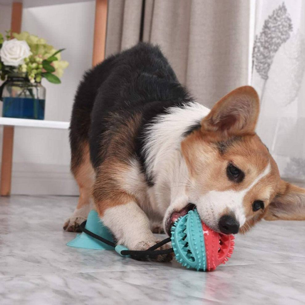 Interactive Treat Dispensing Dog Pull Toy - Turn Mealtime into Playtime!