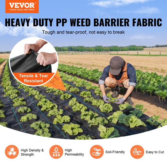 80309659