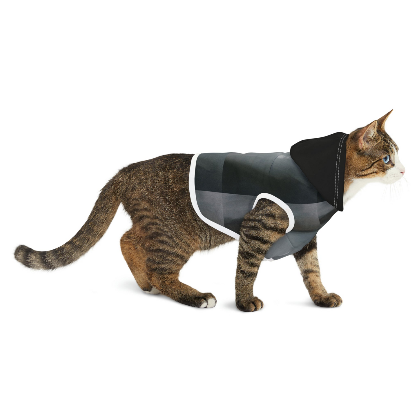 Pet Hoodie - The Alien | Customizable, Stylish, and Comfortable