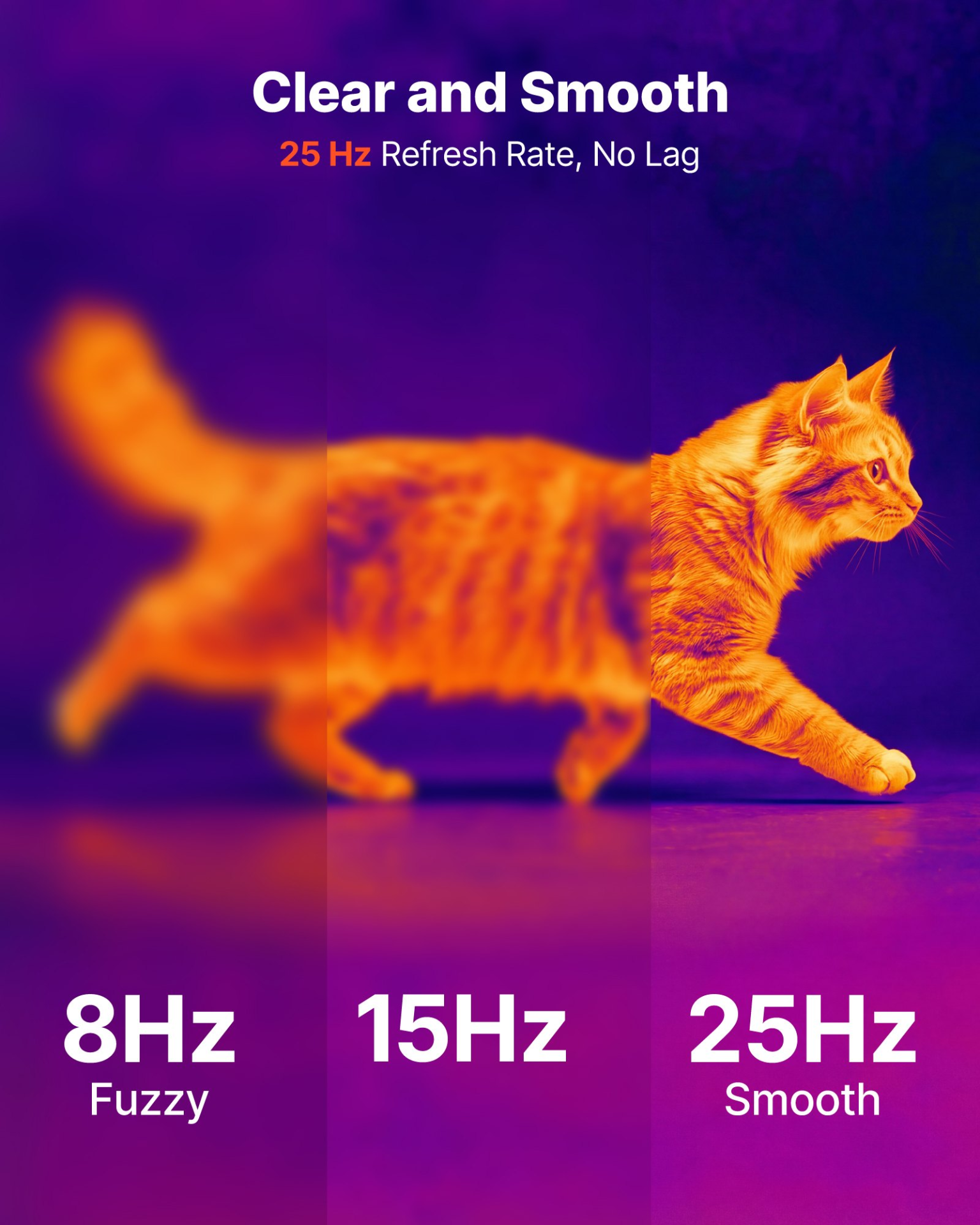 79212123