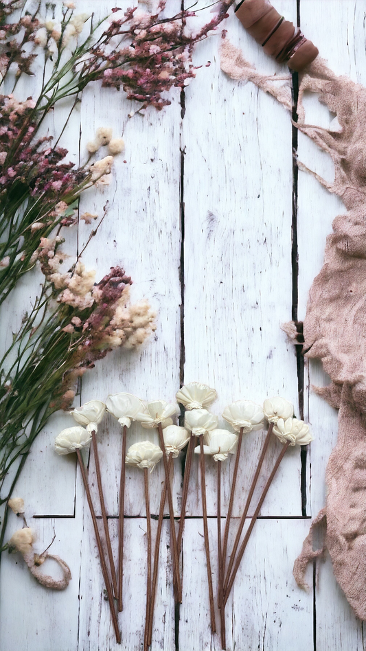 Assorted Mini Sola Wood Flowers with 9” Rattan Reed Diffuser Sticks - 12 Pack, Natural White and Almond Brown, Handmade Craft & Home Decor, Eco-Friendly & Versatile Applications for Gifting, Wedding & Aromatherapy