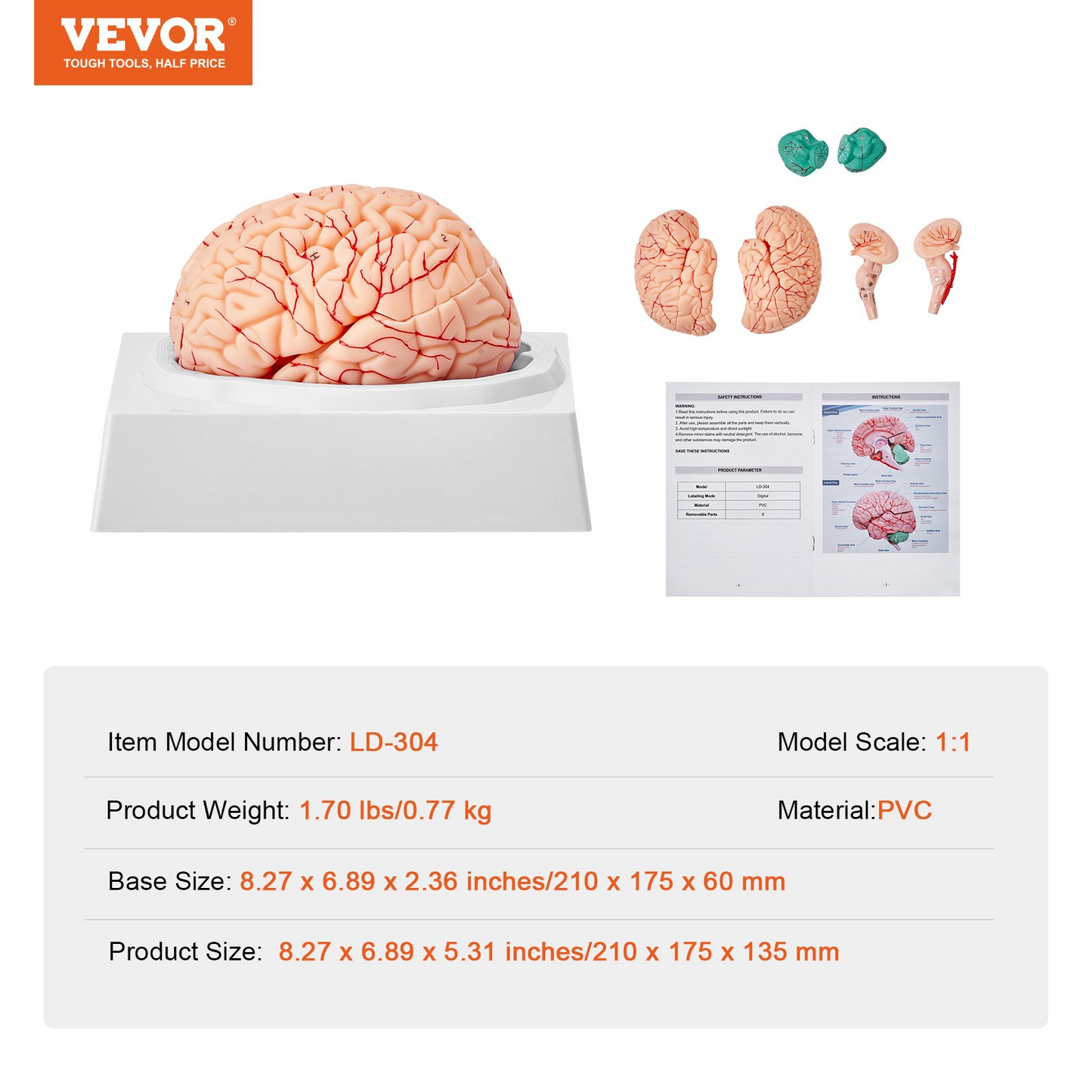 VEVOR 1:1 Life-Size 9-Part Human Brain Anatomical Model with Labels & Display Base - Ideal for Science Research & Classroom Study