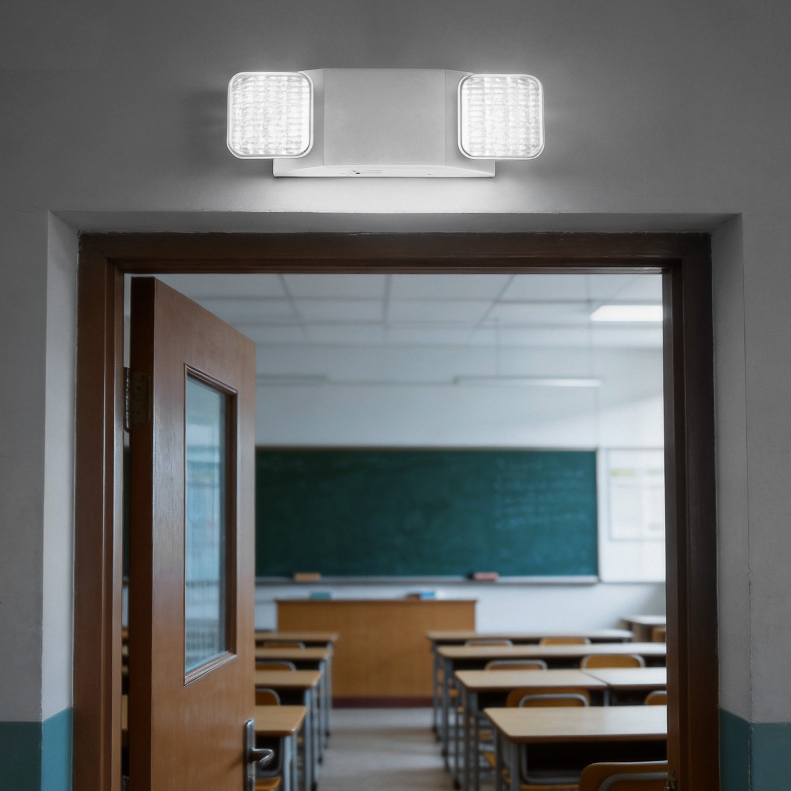80233811