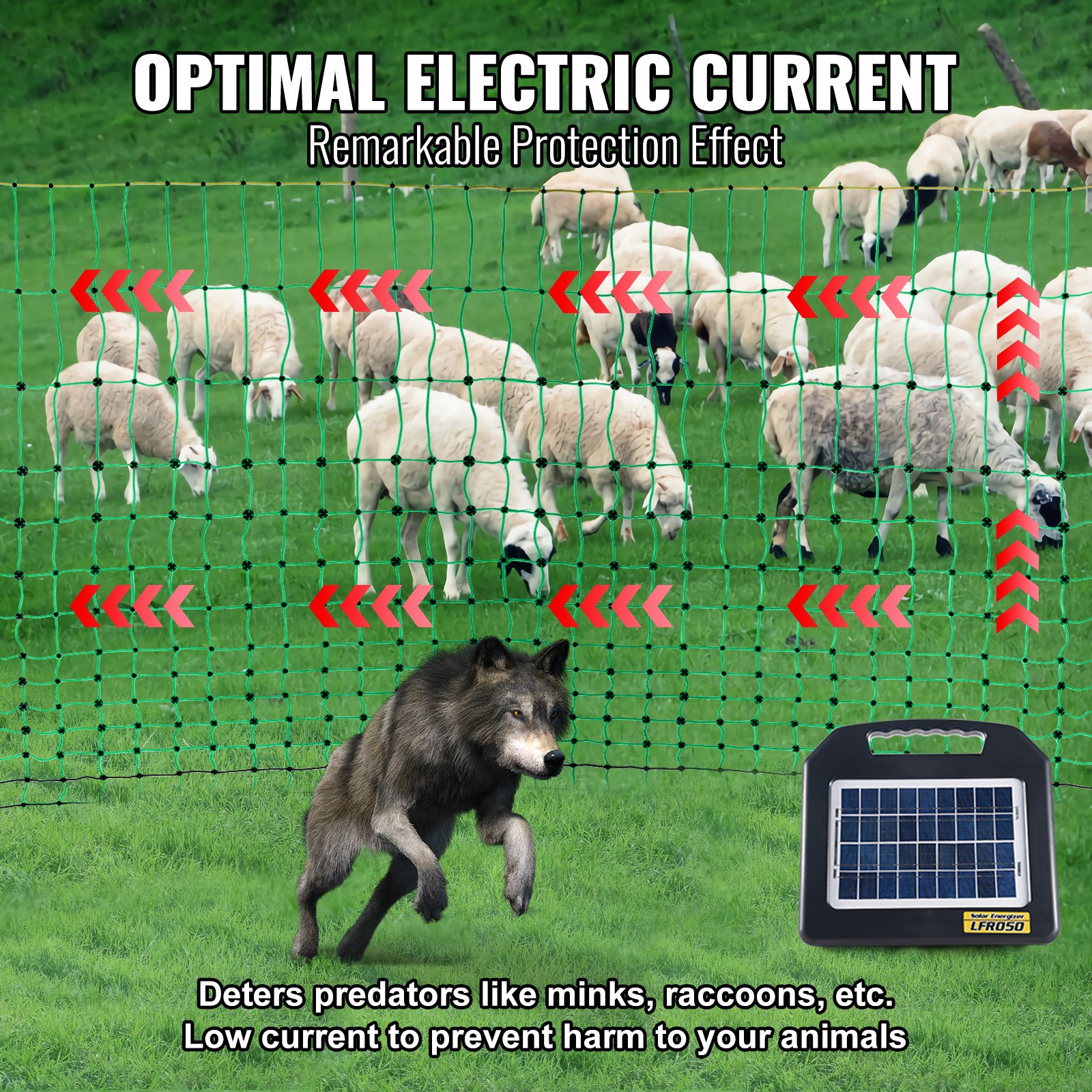 79548066