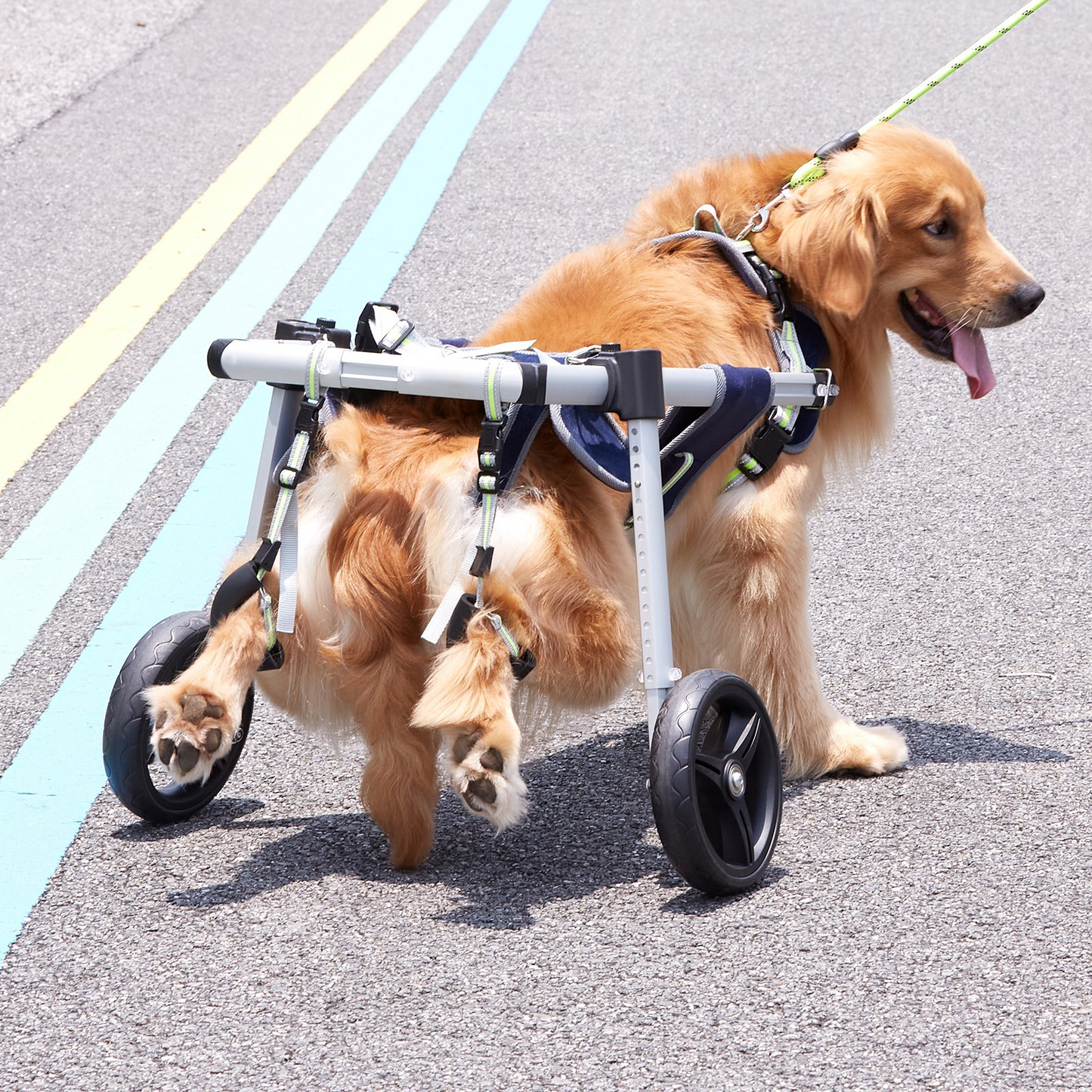 VEVOR 2 Wheels Dog Wheelchair for Back Legs | Lightweight & Adjustable Pet Wheelchair