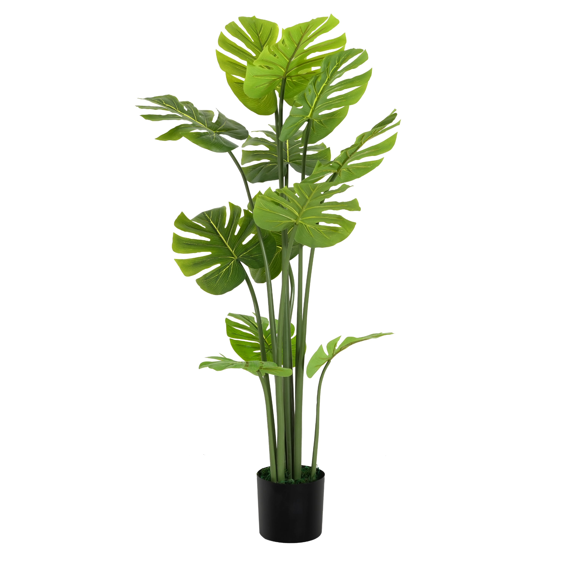 80849590