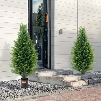 80309985