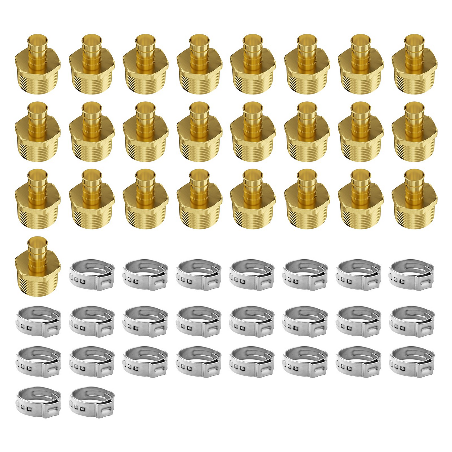 79654884