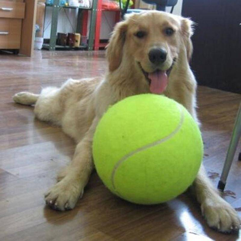 Jumbo Tennis Ball for Dogs - 9.5 Inch Giant Dog Toy - Basketball Core & Felt Outer - Ultimate Fun & Exercise for Your Pup