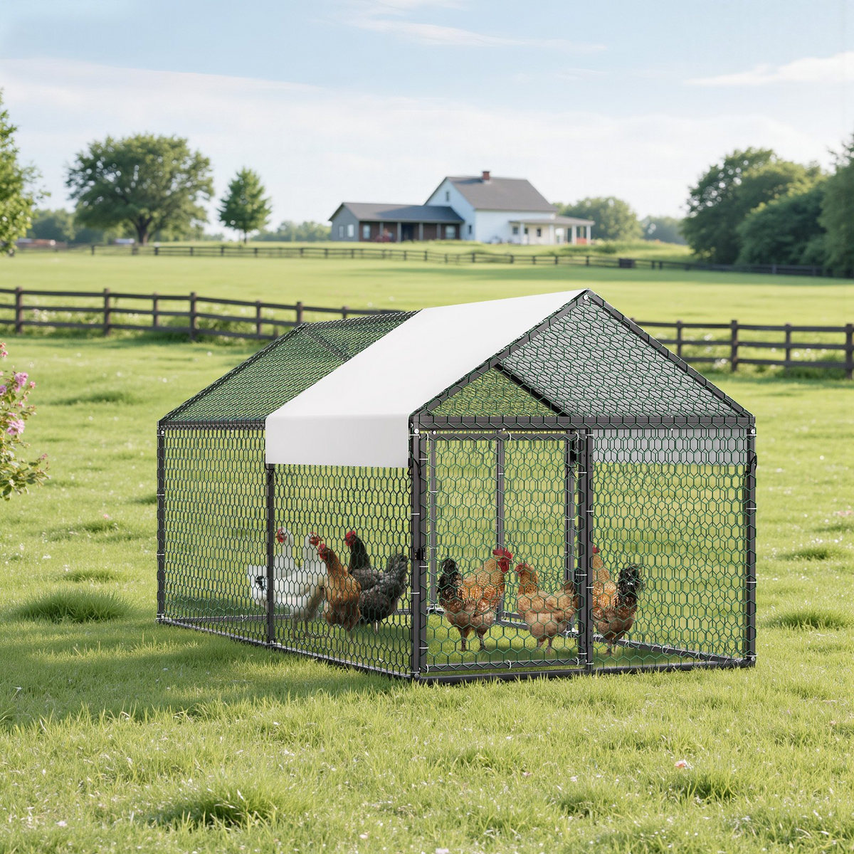 81547117