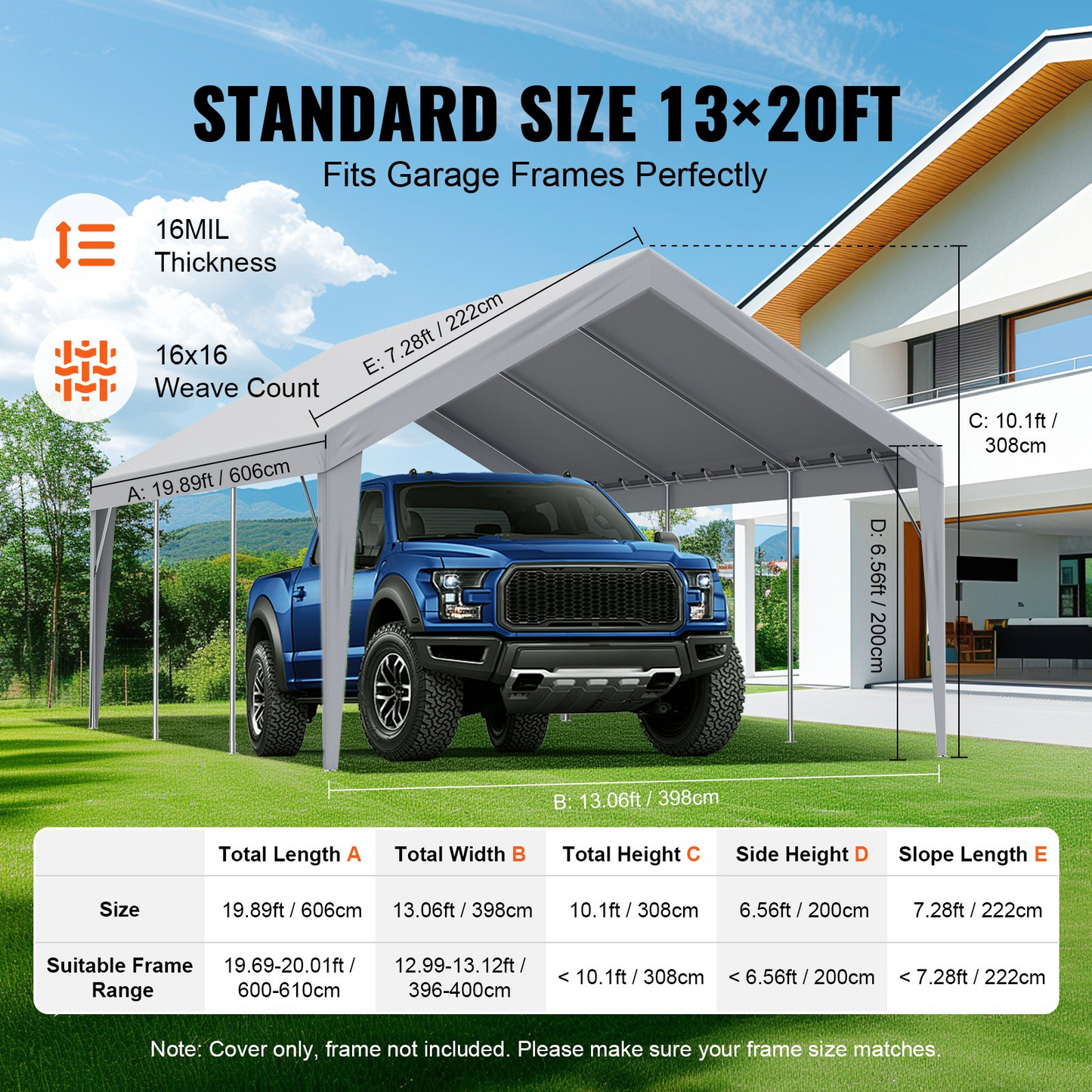 81657819