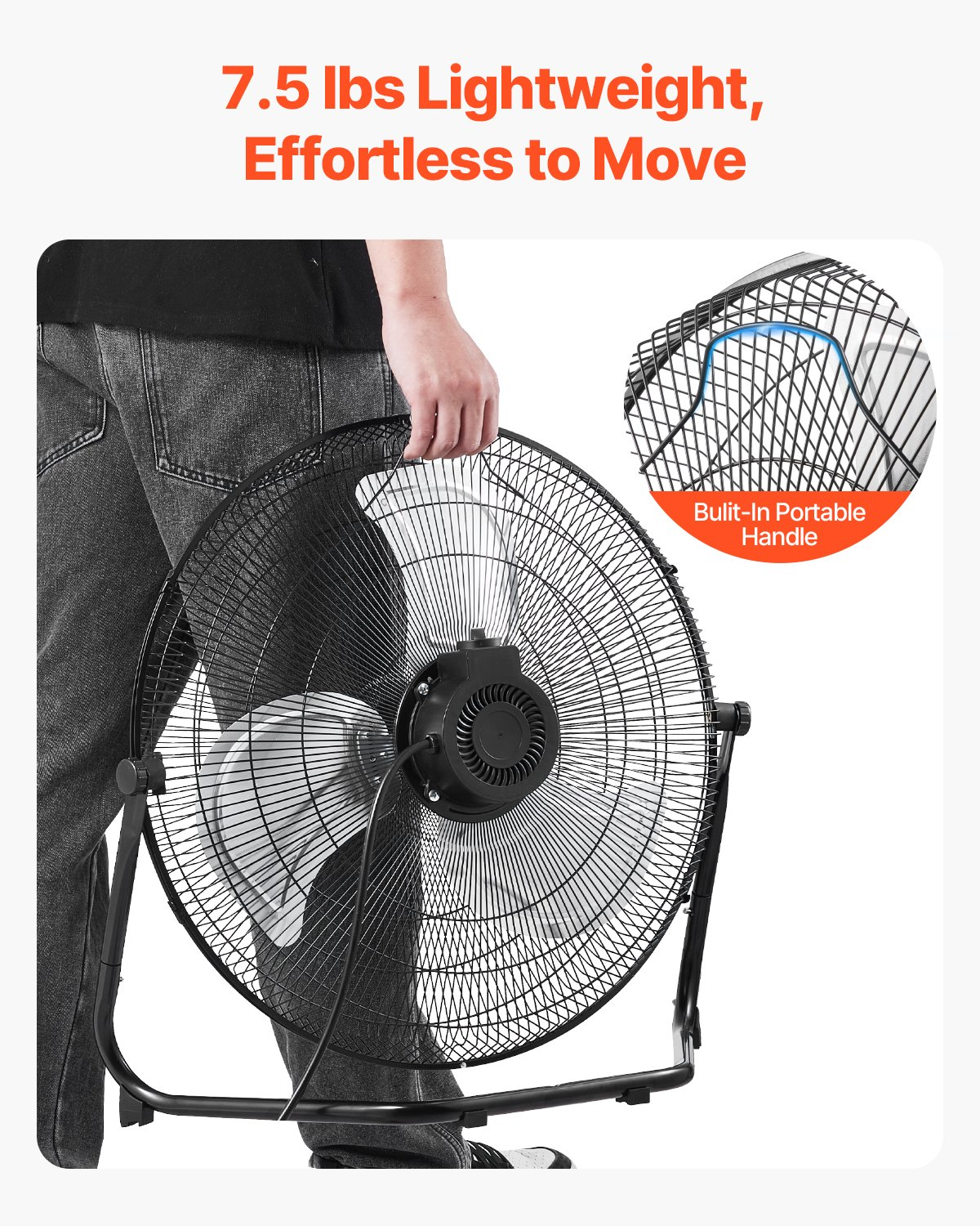 80798871