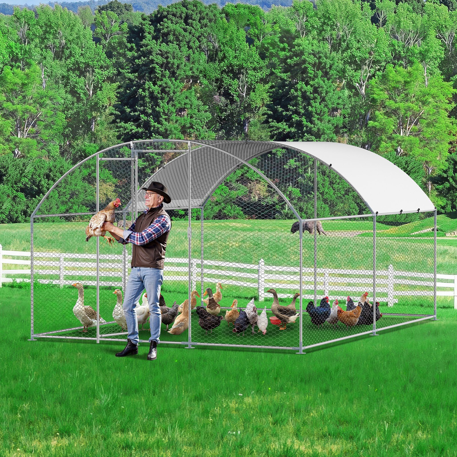 80310547