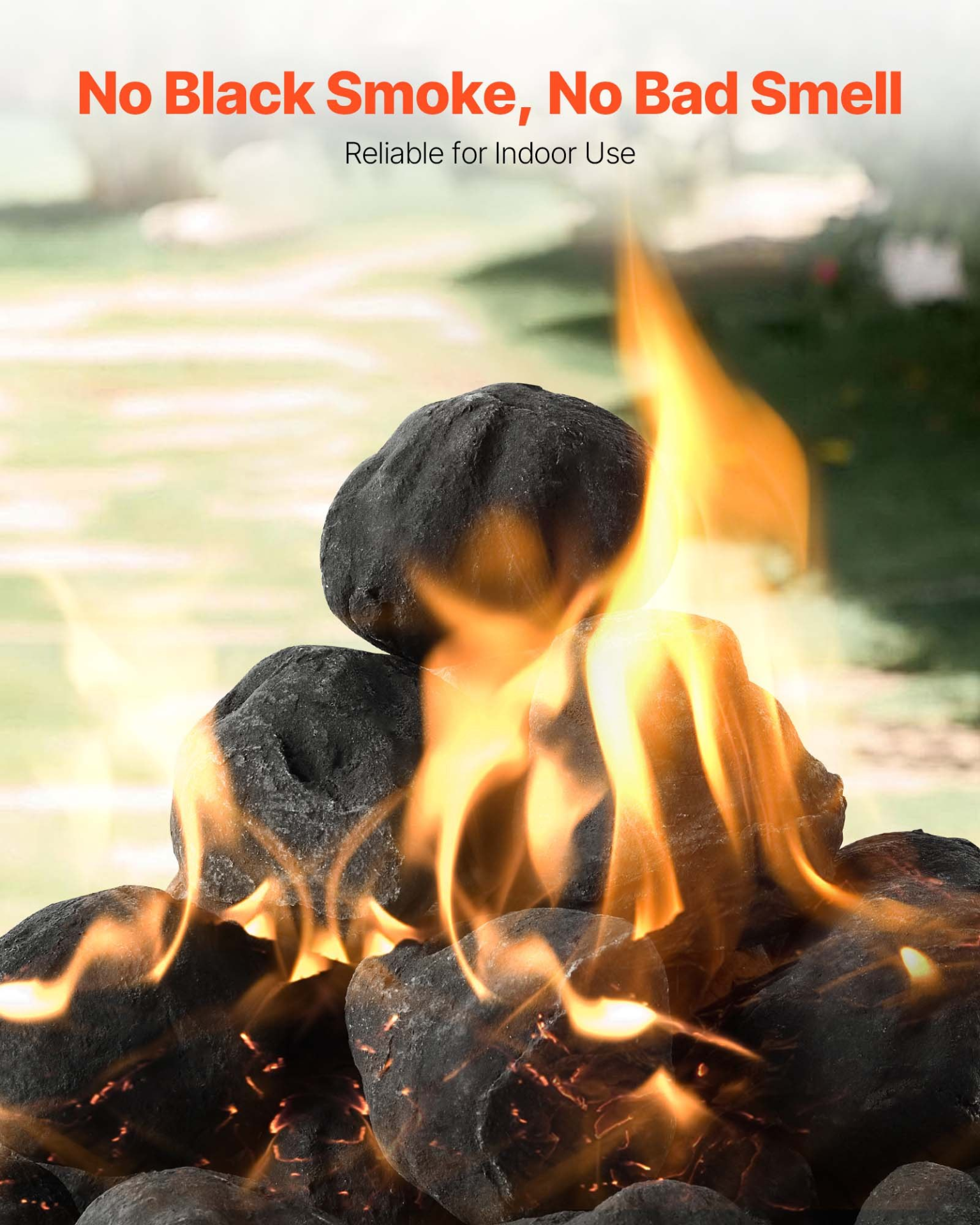 79819734