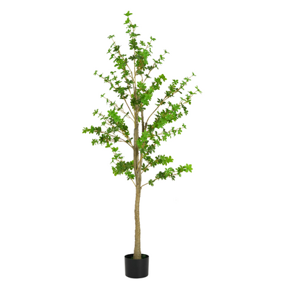 80410209
