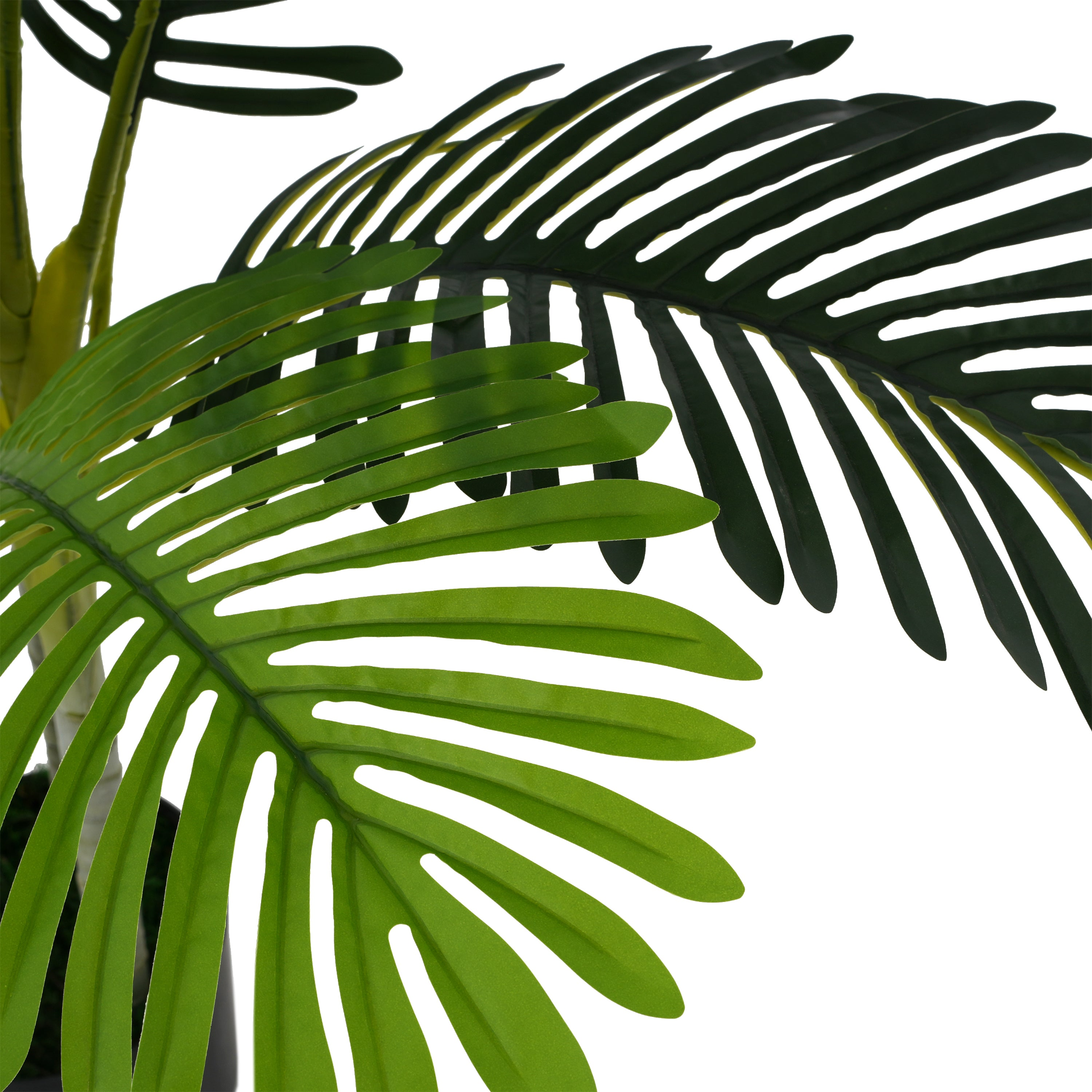 80410015