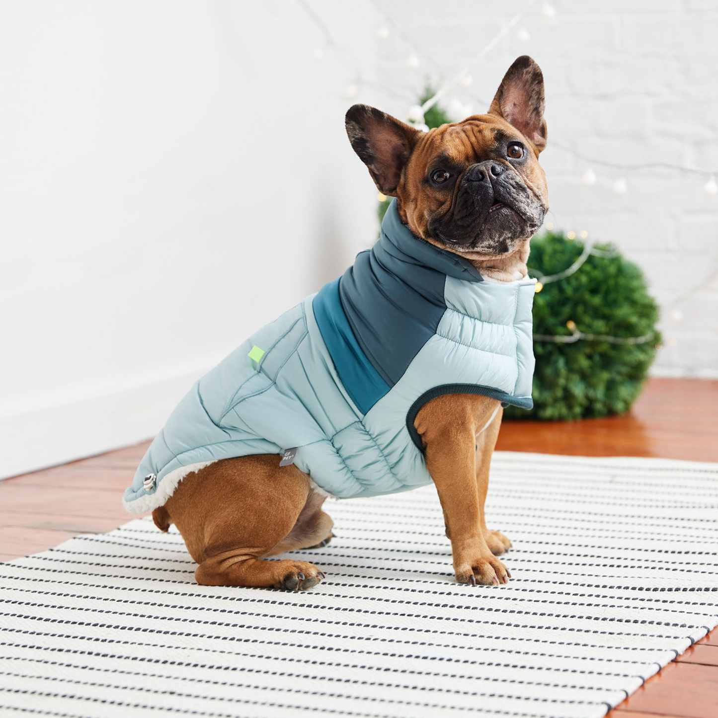 Retro Puffer - Light Blue | Fashionable and Functional Dog Jacket