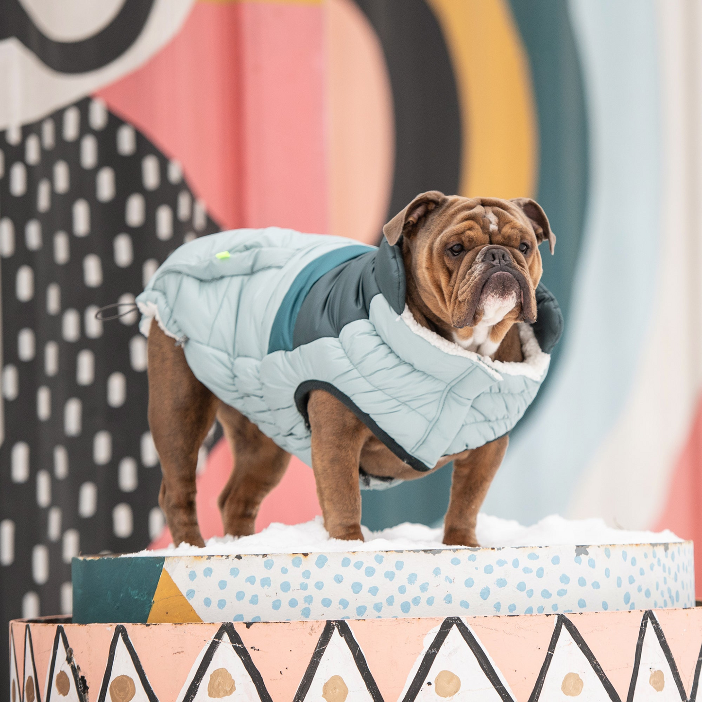 Retro Puffer - Light Blue | Fashionable and Functional Dog Jacket