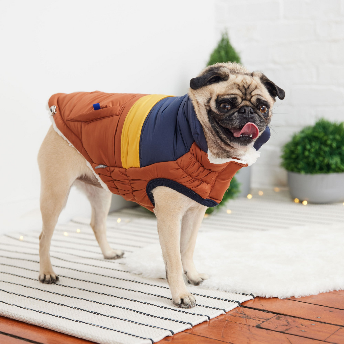 Retro Puffer - Hazel | Fashionable and Warm Dog Coat