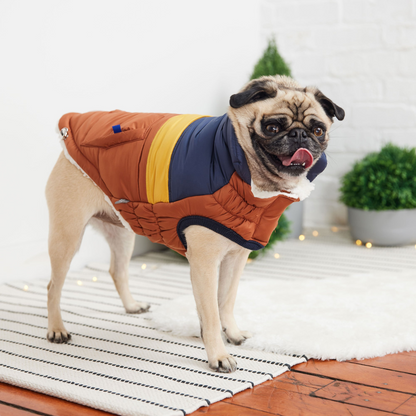 Retro Puffer - Hazel | Fashionable and Warm Dog Coat