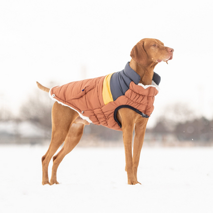 Retro Puffer - Hazel | Fashionable and Warm Dog Coat