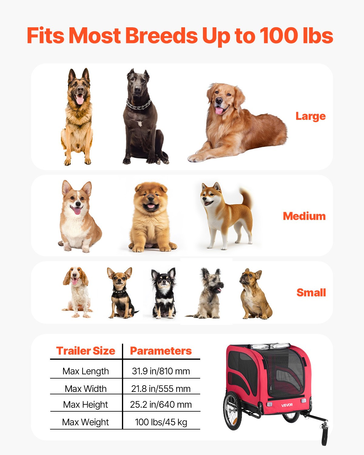 79818317