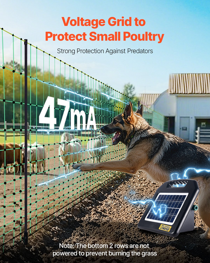79548076