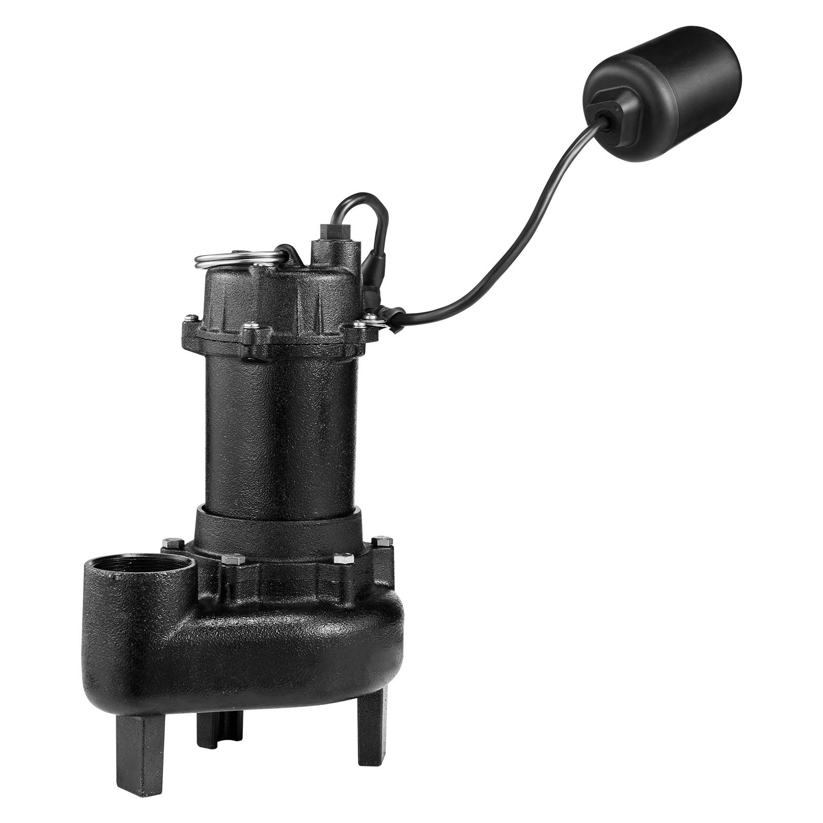 79651827