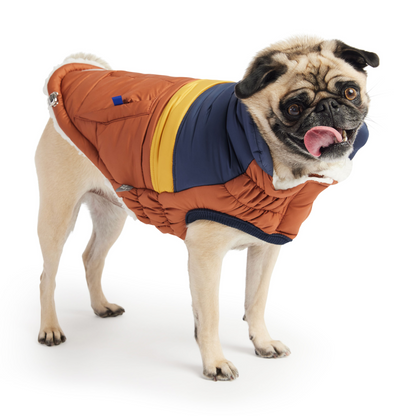 Retro Puffer - Hazel | Fashionable and Warm Dog Coat