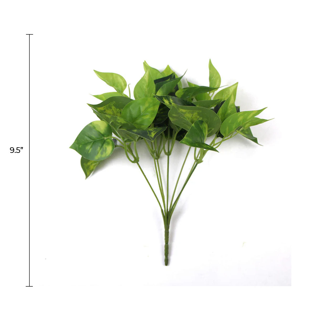 Artificial Pothos / Devil's Ivy Bush 9.5"-1