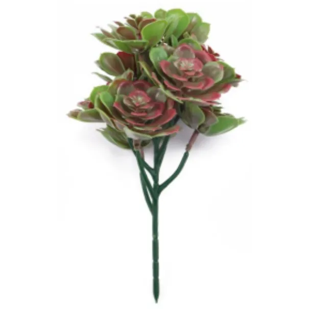 Set of 5 Red and Green Aeoniums Succulent Plants – 30cm / 11.8" UV Resistant-1