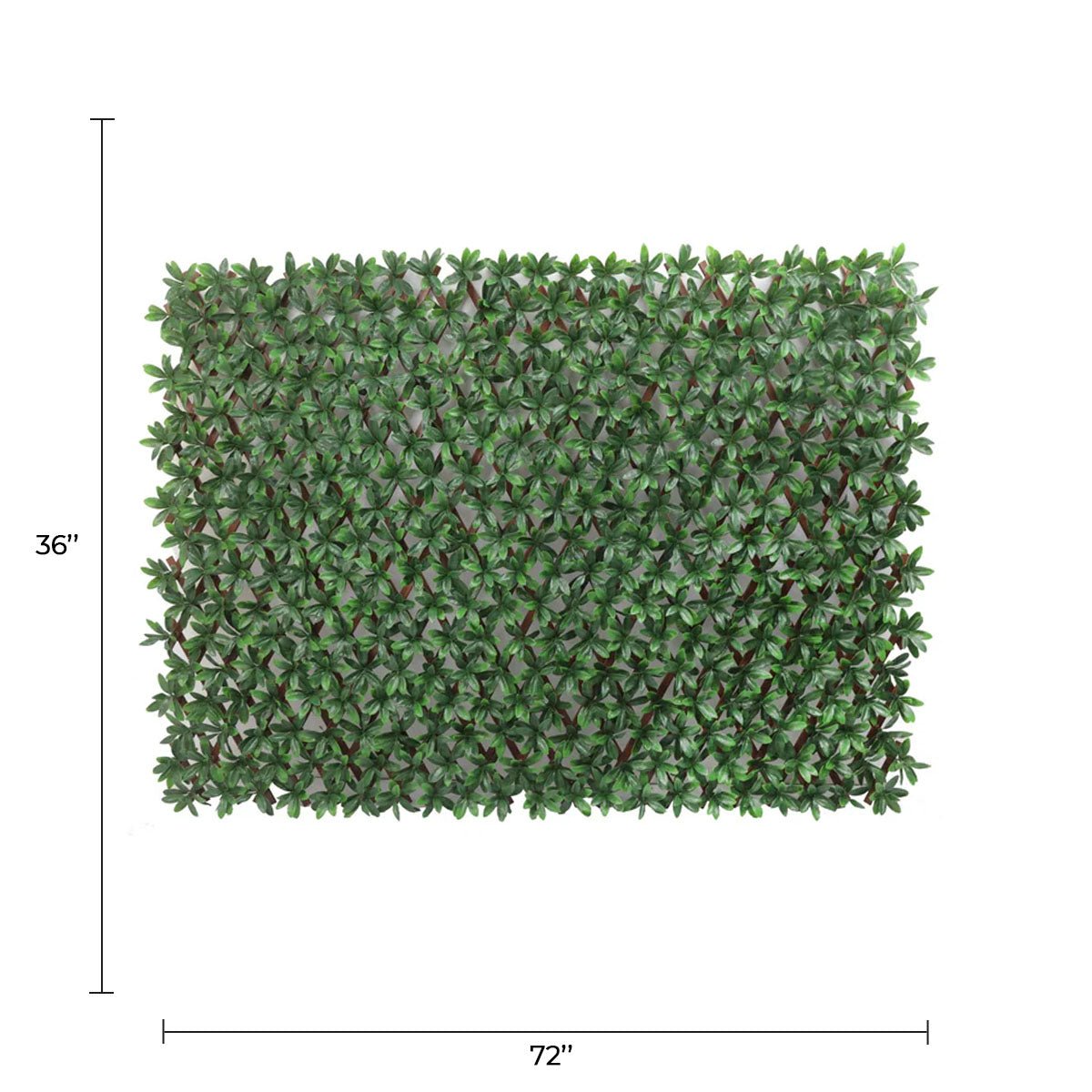 Expandable Faux English Laurel Trellis Privacy Fence (Variable Size) UV Resistant - 72" x 36"-1
