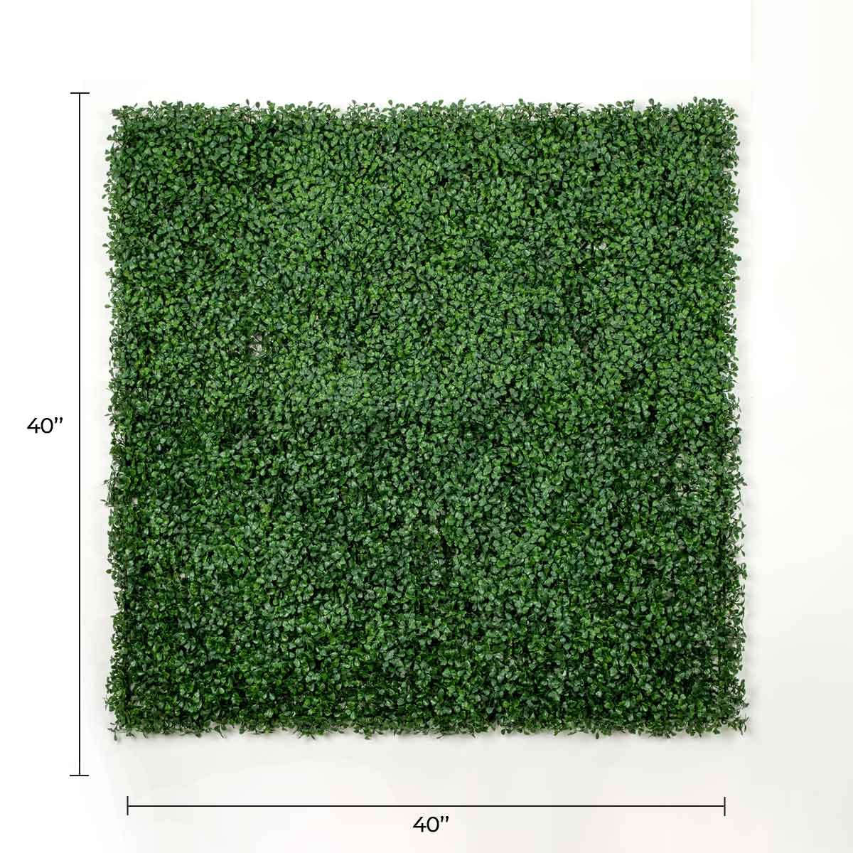 Dark Artificial Boxwood Wall 40" x 40" 11SQ FT Commercial Grade UV Resistant-1