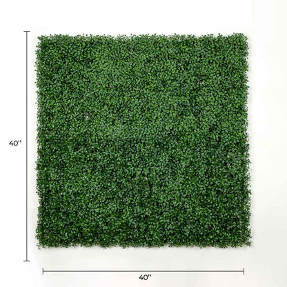Dark Artificial Boxwood Wall 40" x 40" 11SQ FT Commercial Grade UV Resistant-1
