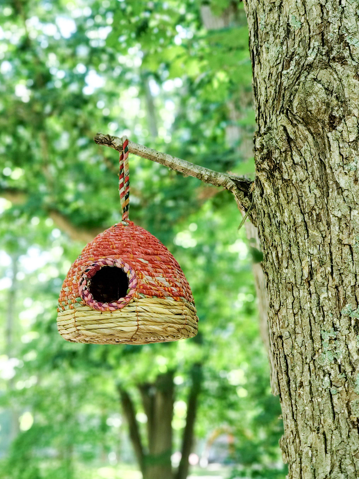 Seagrass & Sari Birdhouse - Garden-1