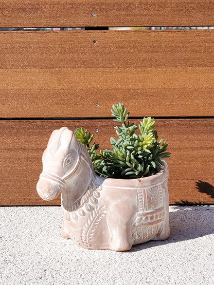 Terracotta Pot - Horse-4