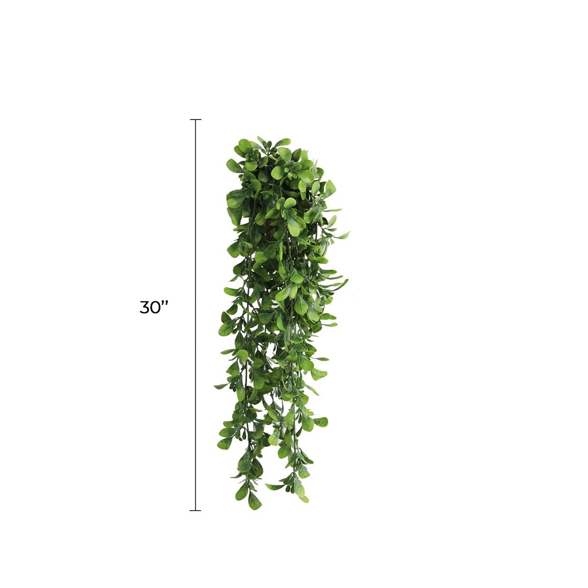 Artificial Creeping Fig Garland Bushes (UV Resistant & Fire Rated | 7.1in x 30in | 18cm x 76cm Each)-1